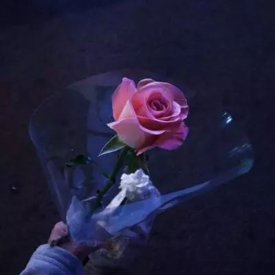 ROR娱乐体育app综合体育app下载